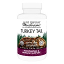 Host Defense Turkey Tail Kapsułki - Digestive Health & Immune Response Supplement - Mushroom Supplement for Coast & Gut Microbiome Supplement - 120 Kapsułek (60 Servings) *