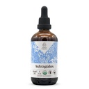 Astragalus USDA Organic Alcohol Free Extract Astragalus 124; Suplement dietetyczny, Wysokomocna nalewka Astragalus; Natural Certified Organic Astragalus (Astragalus Dicolaceus) Suszony korzeń (4 oz)