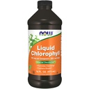 Teraz suplementy żywności, Chlorofil płynny, Super skoncentrowany, Deodorizer wewnętrzny *, Boost Energy, Ment Flavor, 16-unce