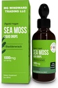 Płynne krople z Morza Ekologicznego 124; 30,000 MG 124; Moss Sea z Bladderwrack, Elderberry z 124; 4X Stronger Organic Sea Moss Than Pills i kapsułki dla ogólnego zdrowego życia! 1 butelka