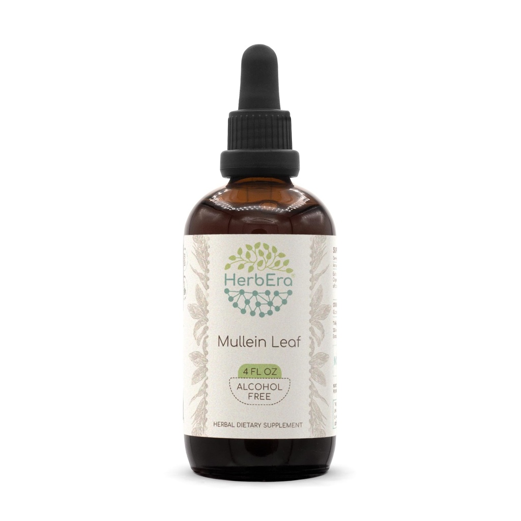 Mullein Leaf B120 Wyciąg ziołowy wolny od alkoholu Tincture, Superwentylowany Mullein (Verbascum thapsus) Suszony Liść (4 fl oz)