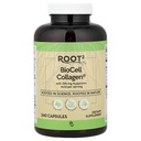 Vitacost ROOT2 BioCell Collagen Witacost z kwasem hialuronowym -- 100 miligram na porcję - 240 kapsułek