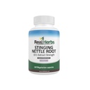 Real Herbs Stinging Nettle Root Extract 7500mg (750mg 10: 1 Extract) - Wegetariański Przyjazny, Nie-GMO, Gluten- Free - Wspiera Prostate & Zdrowie moczu - 100 Kapsułki