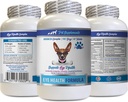 Psy Witaminy oka - Psy Eye Health Formula - Zaawansowany Kompleks Wsparcia Oka - VETS Zalecane - Pies Luteina - 1 Butelka (60 tabletek)