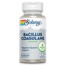 SOLARAY Bacillus Coagulans Probiotic - 5 Billion żywych mikroorganizmów - Pokarm i Gut Health Support - Probiotyki Full Body Health z Inulina Prebiotic Fiber, 60- Day Guarantee, 30 Serv, 60 VegCaps