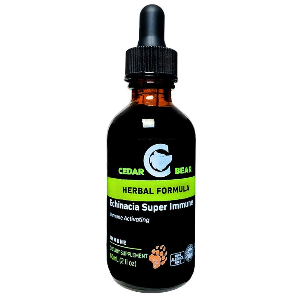 Cedar Bear Echinacea Super Immune Miesza płynny suplement ziołowy, który zwiększa swój system immunologiczny, aby pomóc utrzymać aktywność białych krwinek i inne funkcje immunologiczne 2 FL Oz