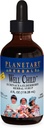 Planetarne zioła Echinacea- Syrop z jagody, 4 fl oz (128,28 ml)