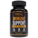 Wsparcie immunologiczne Witaminy - Elderberry z cynku, Witamina C i Czosnek dla dorosłych - Sambucus Black Elderberry Kapsułki & Echinacea Immunitet Odnowa Kompleks