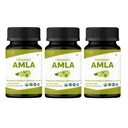 Amla 120 Tablets - USDA Organic Indian Gooseberry - Bogata w witaminy C & Wspiera zdrowie immunologiczne * - Opakowanie 3