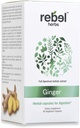 Rebel Herbs Ginger Capsules Powerful Dual Extract, Non- GMO, Gluten Free, Ginger Root (Rhizome) Extract