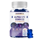 Alpha GPC Choline Gummies 600mg z fosfatydylseryną & Bacopa - 3- in-1 Wsparcie mózgu dla pamięci, Focus & Długoterminowy Cognitive Health - Bez cukru, Natural Formula, 60 Count