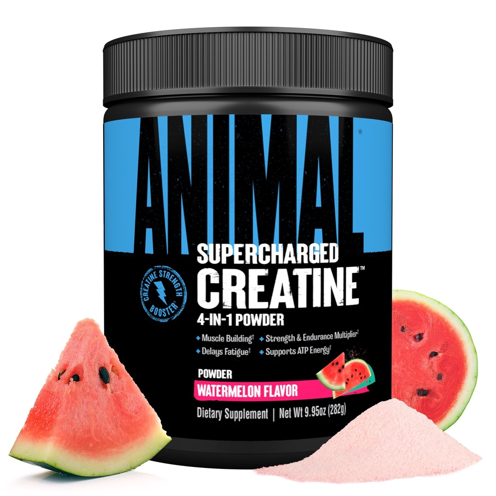 Proszek do stosowania u zwierząt z doładowanym produktem Creatine - monohydrat w zapachu - Betaine Bezwodny, PurpleForce & Senactiv, Siła, Wytrzymałość, Odzysk mięśni dla mężczyzn i kobiet - Arbuz, 300 g