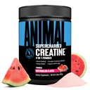 Proszek do stosowania u zwierząt z doładowanym produktem Creatine - monohydrat w zapachu - Betaine Bezwodny, PurpleForce & Senactiv, Siła, Wytrzymałość, Odzysk mięśni dla mężczyzn i kobiet - Arbuz, 300 g