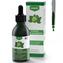 Chlorofil Płynne Krople - 100% Natural Energy Booster and Immune Support - Wewnętrzny Deodorant i Detox - Ulga chorobowa wysokości - Szybka absorpcja, Wegan & Non-GMO - 120 Słupki (Opakowanie 1)