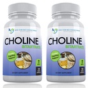 Premia Cholina - 500 mg - 120 Kapsułek wegetariańskich - Wspiera zdrowie kognitywne, Pamięć i więcej - 2 opakowania