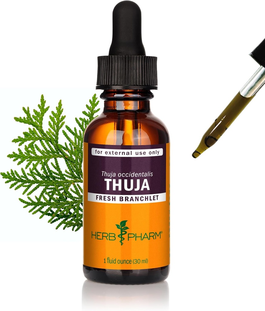 Herb Pharm Thuja Branchlet Liquid Extract - 1 unce (DTHUJA01)
