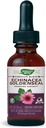 Natural 's Way Premium Formula Echinacea- Goldenseal, 250 mg na porcję, 99,9% bez alkoholu, 1,01 Oz.