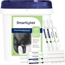 SmartEquine SmartLytes Koń Electrolyte Powder Supplement & SmartLytes Paste Koń Electrolyte Paste 6 Tubes Bundle, Zachęca do nawadniania, uzupełnia Electrolytes, Nie dodawany cukier