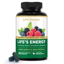 Energy 's Energy Advanced Daily Multivitamin dla mężczyzn i kobiet, Energia i suplement wsparcia immunologicznego z Super Zielonych - Przeciwutleniacze i enzymy - Żelazo wolne, Wegetarianin, 120 Tablets by Life' s Fortune