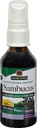 Odpowiedź natury Sambucus Syrup Ekstrakt Spray 2 Płynne uncje 124; Immune Booster na Go 124; Przyjazny podróży 124; Bogaty w przeciwutleniacze 124; Naturalne wsparcie immunologiczne