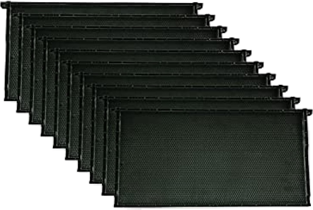Mann Lake Premium Beekeeping Frames, All- in- One Frame & Foundation, Natural Beeswox Coating, Universal Fit, BPA & BPS Free, 9 1 / 8 Inches, Black, 10- Pack