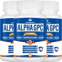 15- in-1 Suplement Alpha GPC z fosfatydylseryną, urydyną, l- Theaniną, grzybem Lwa, 180 kapsułkami