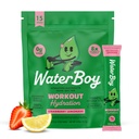 Waterboy Workout Hydration 124; 2,960mg Sugar Free Electrolyte Powder Pakiety do sporządzania proszku 124; L- Glutamine + Vitaminy 124; No Sugar, All Natural, Gluten Free According 124; 15 Drink Stick Mixes (Truskawka Lemoniada)