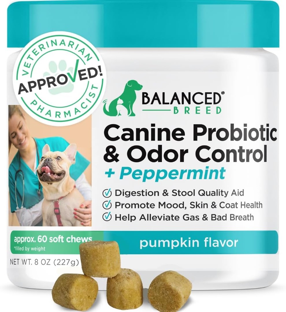 Zbalansowany Psy Probiotyki Rasa Digestive Health Enzymes Made in USA Vet- Pharmacist Zatwierdzony Fortiflora Probiotyki Psy Anti Yeast Supplements Zaparcia Relief Pies Yeast Swędzacz Skóra Swędzacze Uszy Non-GMO