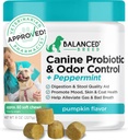 Zbalansowany Psy Probiotyki Rasa Digestive Health Enzymes Made in USA Vet- Pharmacist Zatwierdzony Fortiflora Probiotyki Psy Anti Yeast Supplements Zaparcia Relief Pies Yeast Swędzacz Skóra Swędzacze Uszy Non-GMO