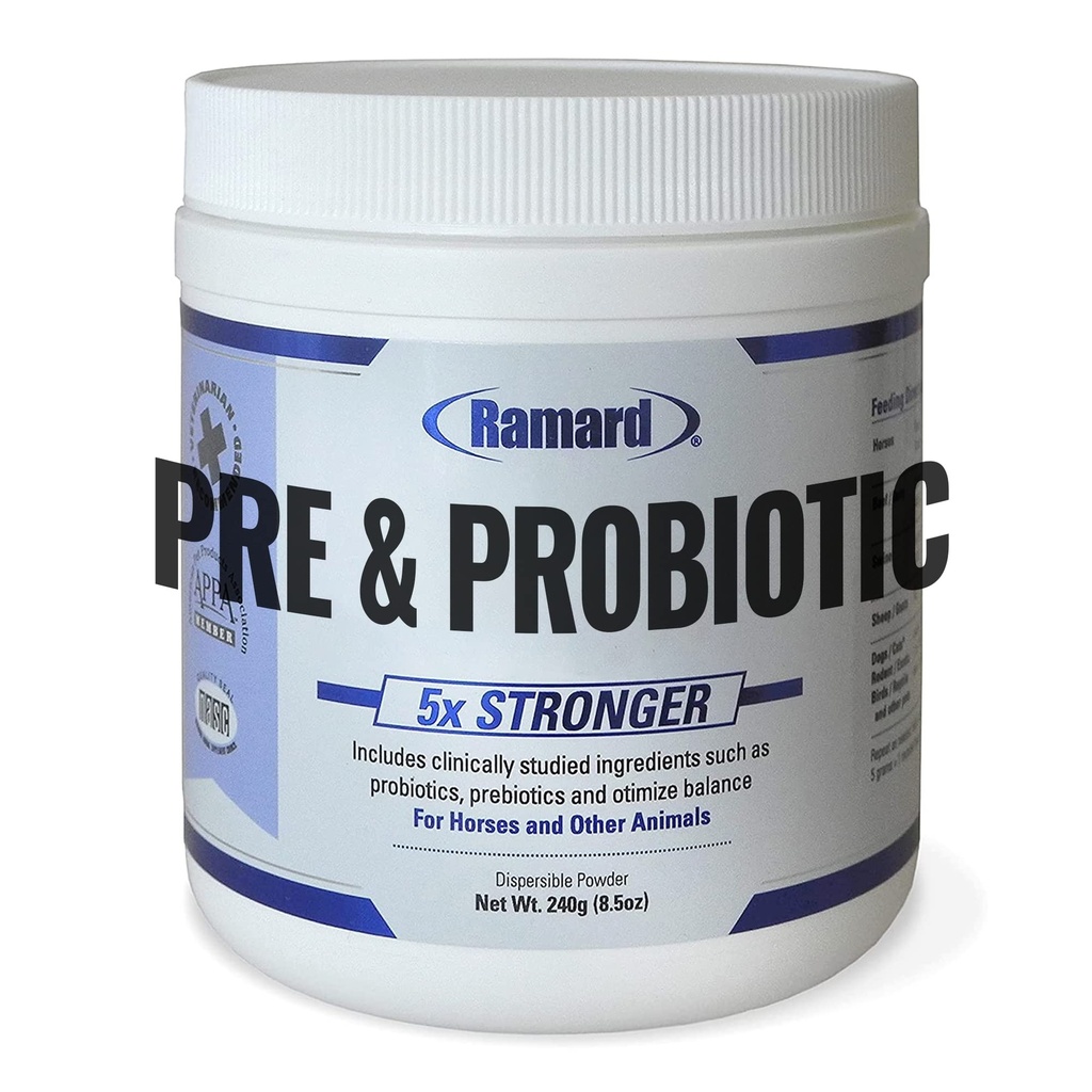 Ramard Total Prebiotic & Probiotic Equine Formula - Natural Digestive Supplement for Horses Optimal Gut Health, Nutrient Absorption, Foal Support Pro & Pre Biotics for Livestocks and Horse 8.5 oz Jar