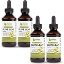 Ekstrakt Maxx Herb Olive Leaf - Max Siła Oleuropeina Liquid Absorbs Better Niż Kapsułki lub Herbata, dla immunologicznego wsparcia, Heart Health i Sezonowego Wellness - 4 butelki, 4 Oz Each (240 Servings)