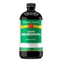 Preparat Bernard Jensen w 100% Pure Natural Chlorophyll Flavor Liquid Supplement Agreement 124; Promotes Alkaline Ph España 124; Pomaga oczyścić krew 124; 16 Unce Fluid (474 ml)