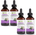 Ekstrakt Maxx Herb Passion Flower - Max Siła Passion- Flower Liquid Absorbs Better Niż Kapsułki, dla Relaks i Relief Stress, Bez alkoholu - 4 Butelki, 4 Oz Każdy (240 Servings)