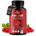 Suplement do układu krążenia krwi, 120 Kapsułek, Podtrzymuje Weenę Nogi, Serce, Statki i Zdrowie układu sercowo-naczyniowego z Niacyną, L- Arginina, Ginger, Pepper Cayenne, Hawthorn, Diosmin, Krwotok