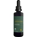 Global Healing Center - Organic Ashwagandha Supplements Drops - KSM- 66 Ashwagandha Dodatkowa siła dla mężczyzn i kobiet, Pomaga promować ulgę od stresu, Mood Support, Organic (2 Fl Oz)
