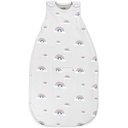 Woolino Merino Wool Ultimate Baby Sleep Sack - 4 Sezon Baby Wearable Kocyk - Dwukierunkowy Zipper Regulowany śpiwór dla dzieci i dzieci - Uniwersalny rozmiar (2- 24 Miesiące) - Rainbow
