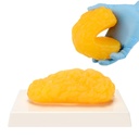 Replika tłuszczu ludzkiego ciała, 1 lb model anatomii tłuszczu dla wyświetlania klasy anatomii, Stay Healthy, Weight Loss Motivation Reminder