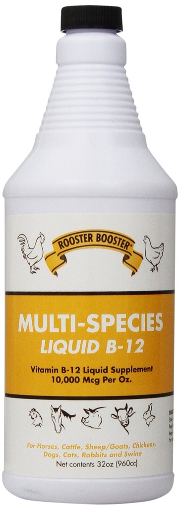 Rooster Booster B- 12 Liquid, 32- Ounce