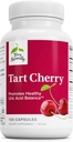 Terry Natural Tart Cherry - Suplement przeciwutleniający do wsparcia zdrowej równowagi kwasu moczowego & Joint Health - Suplement odżywczy - Suplement dietetyczny do odzyskiwania pomocy po ćwiczeniach - 120 Kapsułki