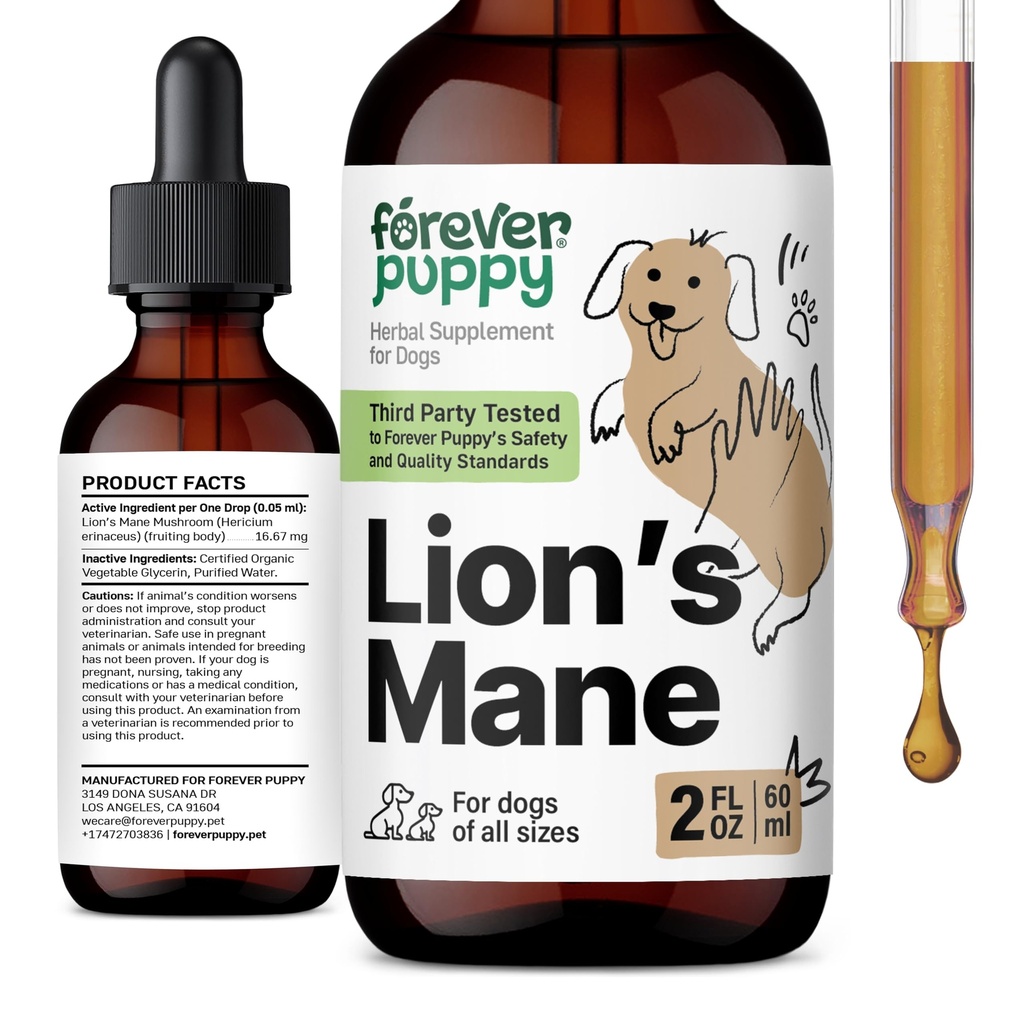 Forever Puppy Lions Mushroom Supplement for Dogs - Brain & Focus Support - Live Lion 's Mane Mushroom for Dogs - Psie witaminy i suplementy - Sugar & Alcohol-Free Drops - 2 fl oz