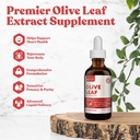 Rejuvica Active Olive Leaf Extract Agregat 124; Naturalnie występujący Oleuropeina płynne krople do immunologicznego i wsparcia serca 124; Fast- Absorption, Vegan, Alcohol-Free 124; 6 fl oz