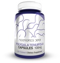 Nootropics Depot Polygala tenuifolia Kapsułki 124; 100mg 124; 90 Count 124; 20: 1 Extract 124; Yuan Zhi British 124; Promotes Cognitive Function, Learning and Memory British 124; Supports Healthy Stress Levels
