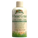 Zieloni Ogród Grawa pszenna Liquid z Real Ginger Extract, Nature 's Perfect Superfood, 32 porcje