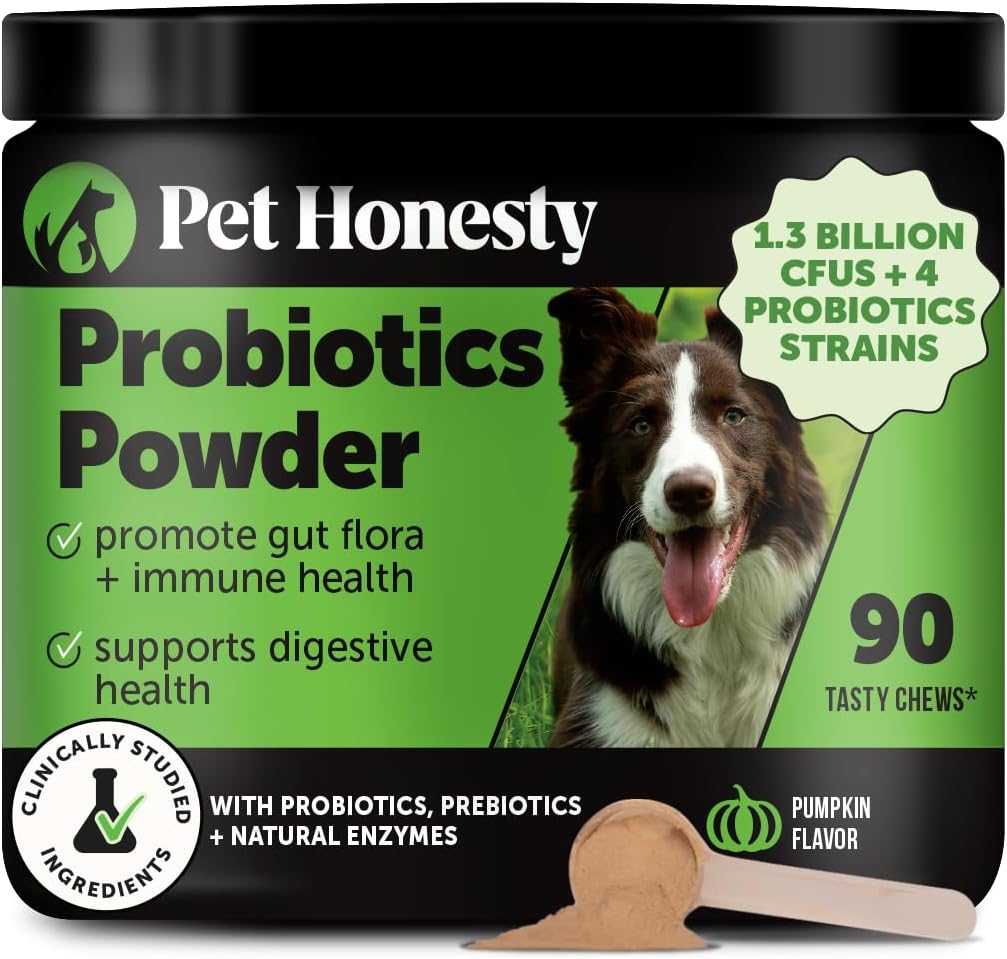 Szczerość Pet All- Natural Probiotic & Pumpkin Powder Dog Supplement - Prebiotyki, Probiotyki, Enzymy i Przeciwutleniacze dla Zdrowego Gut Flora, trawienie i odporność (90 Scoops)