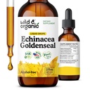 Wild & Organic Echinacea Goldenseal płynne krople - suplement wsparcia immunologicznego w / Goldenseal Echinacea Root Extract - Vegan, Cukier i Alkohol Free Tincture - 2 fl oz