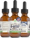 RawGuru L- Metylfolan 15 mg + Witamina B12 - Metylowany wegan organiczny B12 z Minerałami śladowymi - Nanoprocesowana i ulepszona formuła cieczowa - 300 Kropli wegańskich w 30 ml, Opakowanie 1