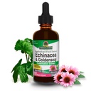 Natura 's Response Echinacea & Goldenseal z organiczny alkohol, 2 -Płynne uncje