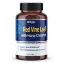 Red Vine Leaf and Horse Chestnut, 50% Flavonoids for Leg Vein Support, Skóra, Heart Wellness - Made in USA