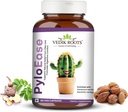 PyloEase Reasoned 124; Ayurvedic Herbal Supplement Tradycyjnie Stosowane do wsparcia Digestive Comfort & Codzienne Saldo 124; Powiązane z ulgą z Disestive Discomfort Recomfort 124; 60 Kapsułki Veg, (Opakowanie 1)