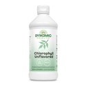 Dynamiczne zdrowie Chlorofil ciecz Unflavored 100 mg, Chlorofiliny miedzi sodowej z Alfalfa i liści morwy, Oczyszczanie roślin i ododór, Nie dodawany cukier, 16 Fl Oz
